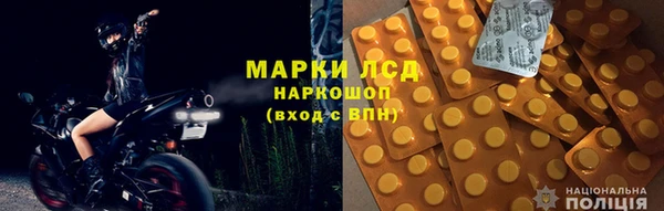 сатива Балахна