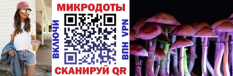 наркотики Вязники Галлюциногенные грибы прущие грибы